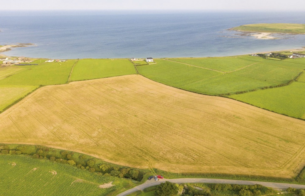 Aerial image of the filed surveyed in Killard Upper